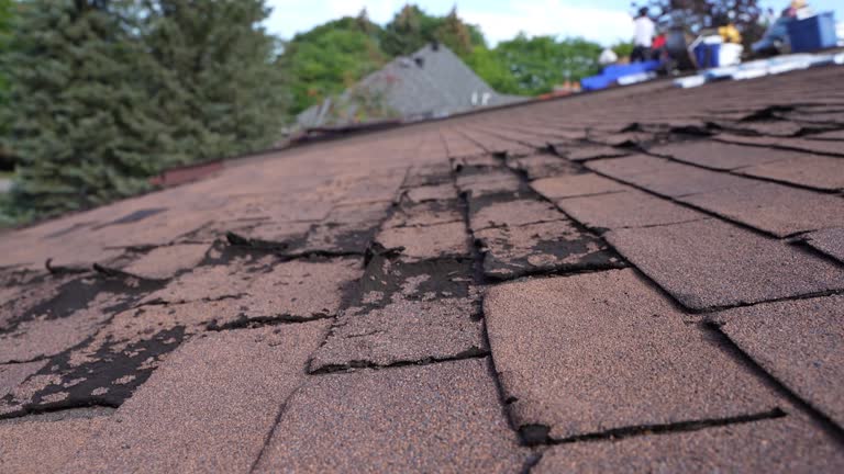 Best Roof Maintenance and Cleaning  in Brookside Village, TX