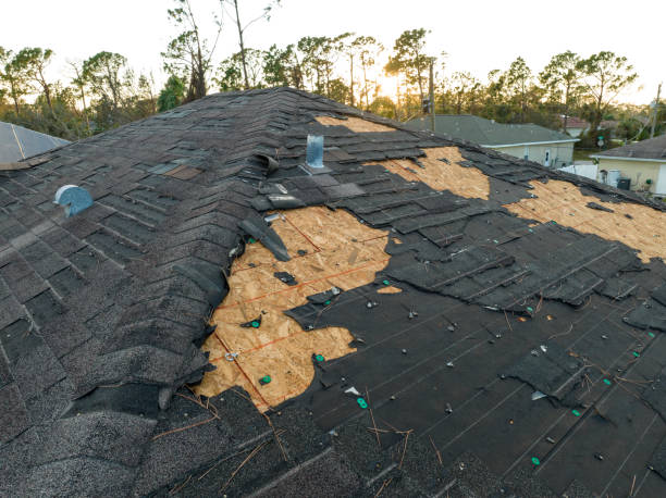 Best Roof Leak Repair  in Brookside Village, TX