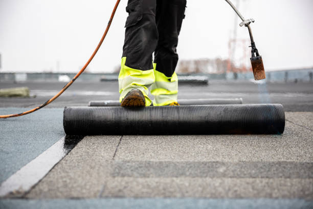 Best Skylight Installation and Repair  in Brookside Village, TX